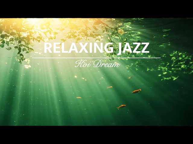 Peaceful Cafe Jazz Music and Relaxing Bossa Nova Instrumental KOI Dream With Tranquil Jazz For Work