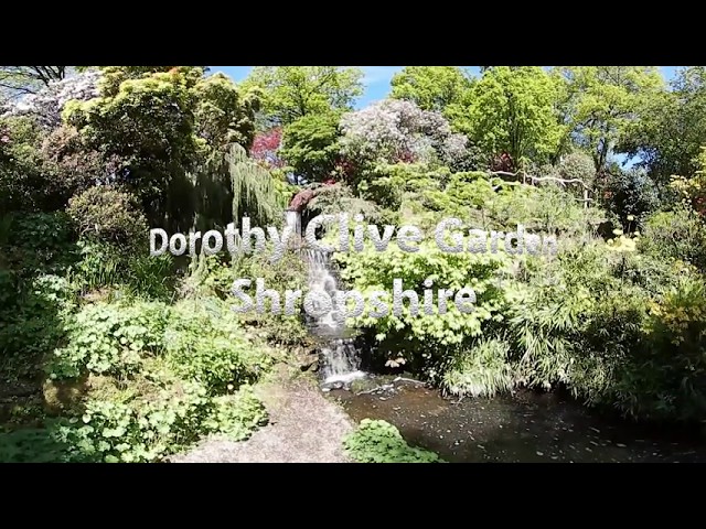 360 Shropshire Dorothy Clive Garden 11