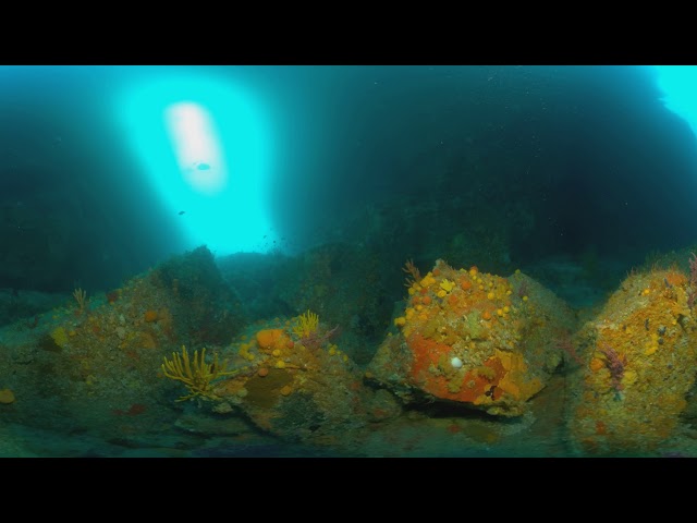 Rocks and sponges near Northern Arch (360 3D 8K) | Insta360 Pro 2 | Mantis Sub housing