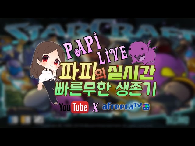 [파피러블리] 2025년 02월 13일 스타 빨무 팀플 스타크래프트 starcraft💕2000일됐어요^^(취미+전업)💕