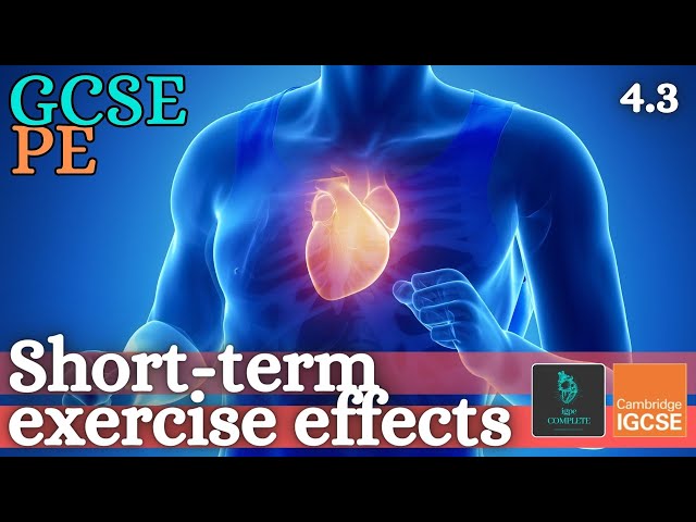 GCSE PE - SHORT TERM EFFECTS OF EXERCISE - Anatomy and Physiology (Energy & Exercise Effects - 4.3)