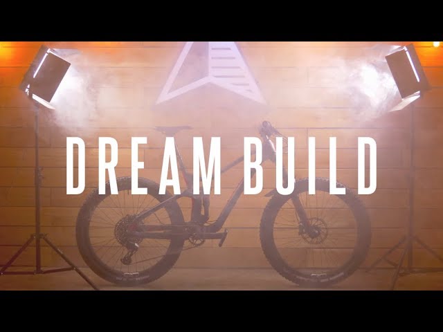 DREAM BUILD - Custom Devinci Troy Carbon