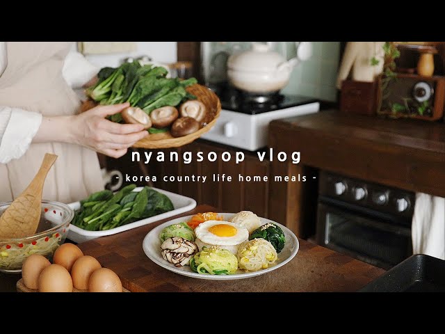 Making Heart-Shaped Rice Cake Soup, A Warm Holiday in the life of Korean living alone