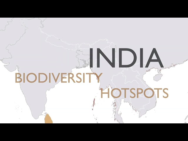 India: An Amphibian Hotspot