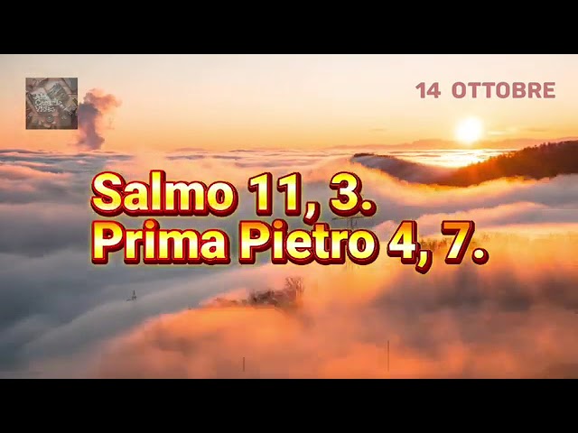 Chiesa Cristiana Evangelica Di Guidonia-Riflessione 14 Ottobre #iscrivitialcanaleyoutube #chiesa