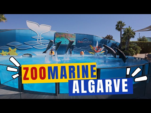 A Day at Zoomarine Amusement Park in the Algarve Portugal