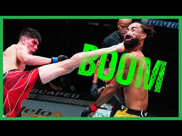 Witness Knockouts via Head Kicks | Stunning KO Finishes