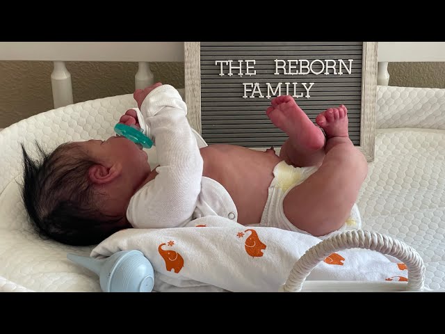 Reborn Family adopts a baby | Silicone Reborn  comes to life during Box Opening🤰🏻👶🏻🤯🥳