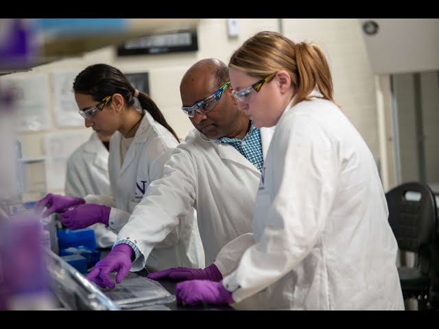 Northwestern Engineering's Master of Biotechnology Program