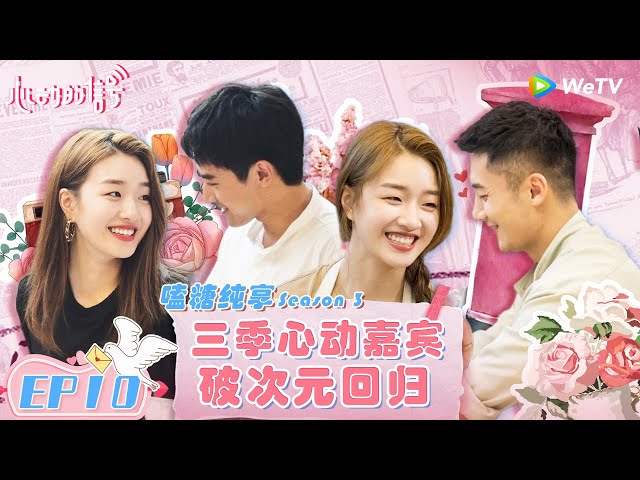 【嗑糖纯享】EP10 第三季完美收官 心动过往嘉宾集体回归分享近况！《心动的信号 第3季》 #心动的信号3 #HeartSignalS3 FULL