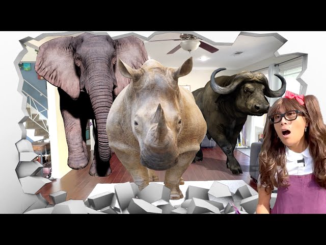 Heaviest Land Animals For Kids | Soso's Toy Animals Come to Life!🦒🐘