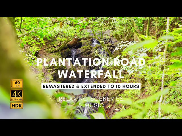 Relaxing Sceneries & Music - 4K HDR - Plantation Road Waterfalls