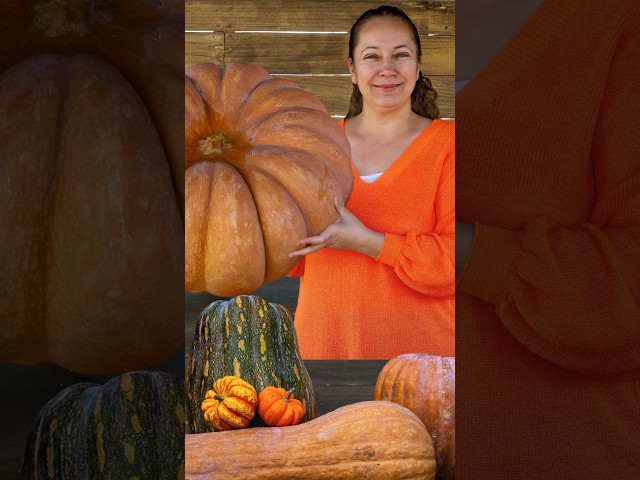 SECRET Pumpkin Pie Recipe from a Village in the Nature