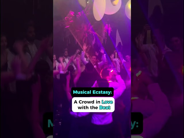 Musical Ecstasy : A Crowd in love with Beat