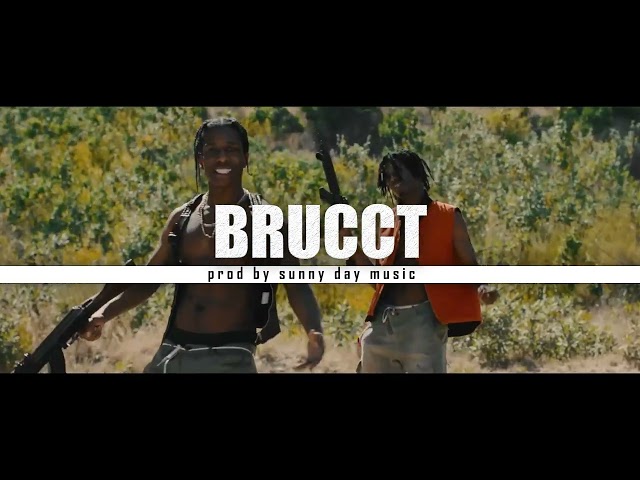 [FREE] PLAYBOI CARTI  TYPE BEAT - "BRUCCT"