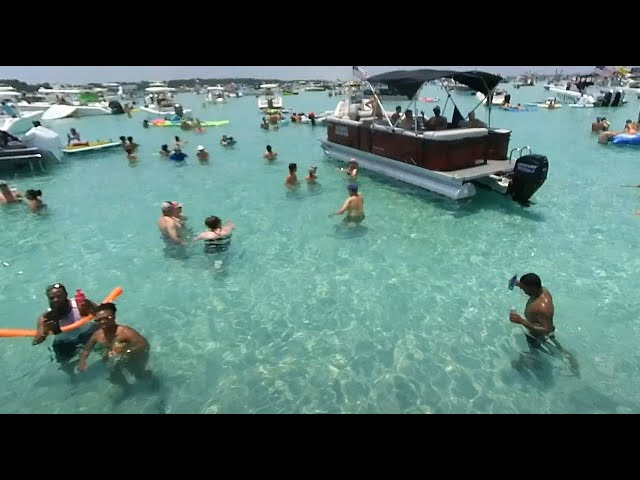 Tailfins Island Adventure- Crab Island