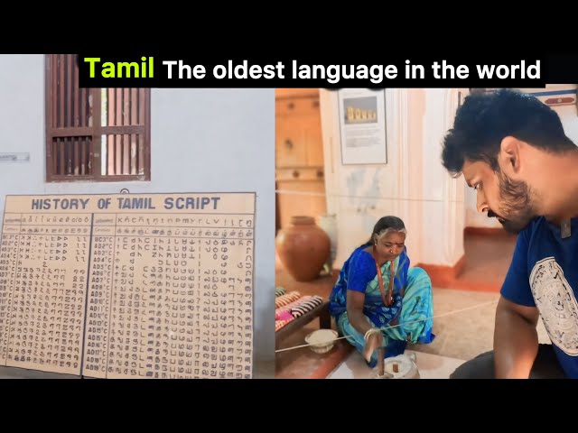 Dakshina Chitra Heritage Museum | தட்சிண சித்ரா பாரம்பரிய அருங்காட்சியகம் | ep -39