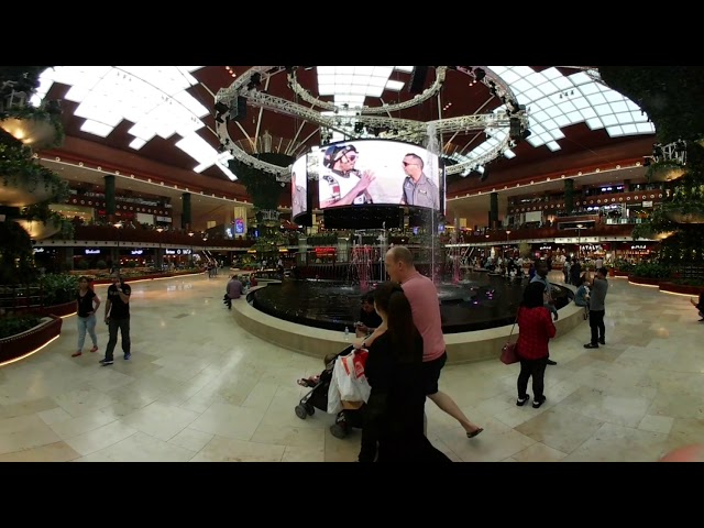 The oasis at the Mall of Qatar