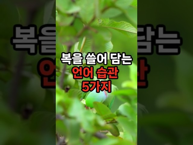 복을 쓸어담는 언어 습관 5가지