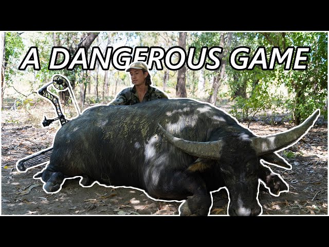 SOLO Bowhunting BUFFALO | A DANGEROUS GAME