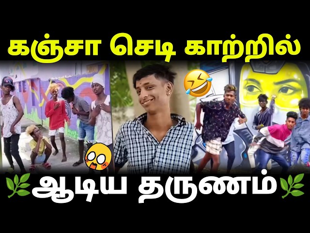 இதோ உங்களுக்காக 🔥𝗖𝗵𝗲𝗻𝗻𝗮𝗶 𝗽𝘂𝗹𝗹𝗶𝗻𝗴𝗼 𝗰𝗿𝗶𝗻𝗴𝗲 | 𝗜𝗻𝘀𝘁𝗮𝗴𝗿𝗮𝗺 𝗿𝗲𝗲𝗹𝘀 𝘁𝗮𝗺𝗶𝗹 𝘁𝗿𝗲𝗻𝗱𝗶𝗻𝗴 𝘃𝗶𝗱𝗲𝗼𝘀 | #trending