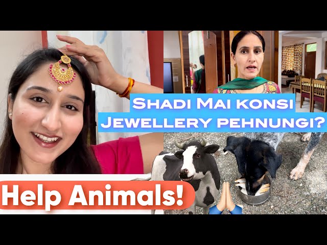 Apni Shadi mai Kesi Jewellery Pehnungi😍| Mummy ne ki Head Massage💆🏻‍♀️| Animals ki Help Karo🙏🏻|