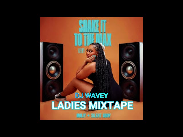 SHAKE IT TO THE MAX LADIES DANCEHALL MIXTAPE 2025 {CLEAN} MOLIY,SKILLIBENG,INTENCE,IWAATA,ROZE DON