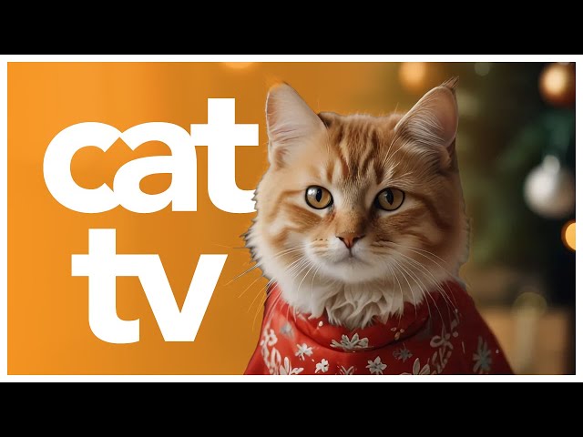 Cat Enrichment TV 📺 - Outdoor Adventure Video for Cats to Watch