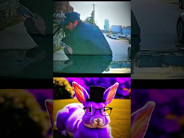 RESPECT AURA 🫵💀 | RABBIT BOMBASTIC | Shorts #shorts #mrbombastic #funny #rabbit #trending #fyp-viral