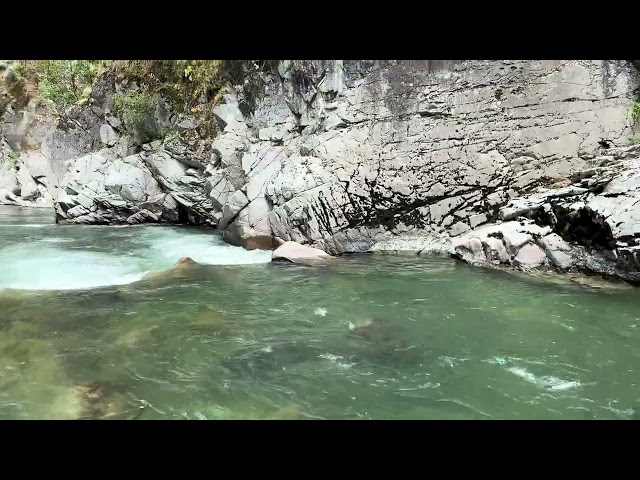 Granite Falls Fish Ladder: Mid-July Colors (2)