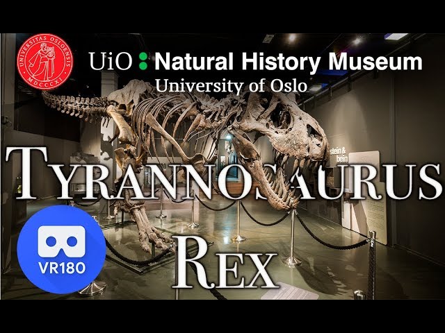 VR180 - Virtual Tour - T-Rex - Museum of natural history