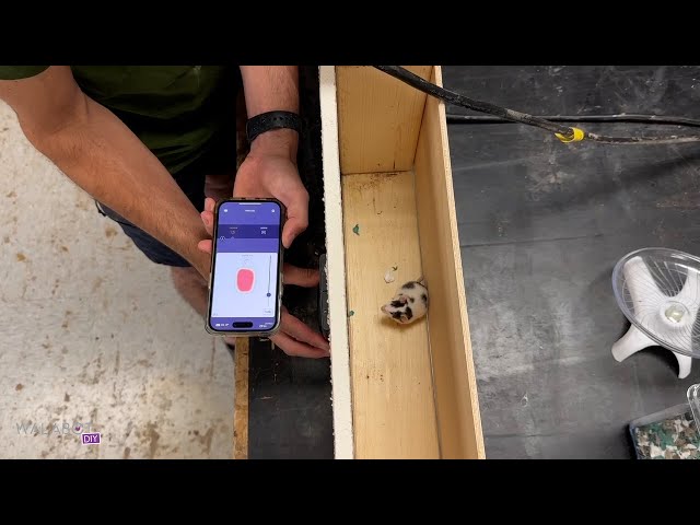 Animal detecting stud finder 🐁 #Walabot #diy #studfinder #pestcontrol