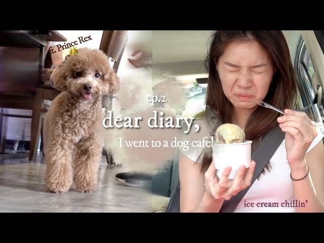 dear diary, I went to a dog cafe for the first time [ep.2] (Malaysia Vlog)