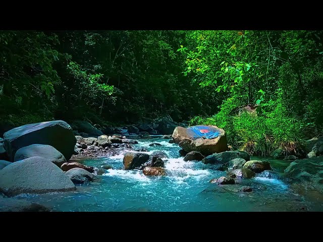 Harmony by the Stream Serene Melodies with Flowing Water Sounds