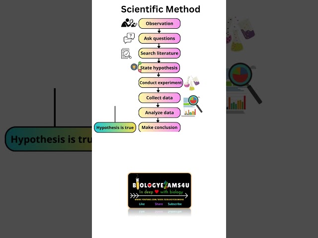 What is a Scientific Method? 9 Steps in Scientific Method