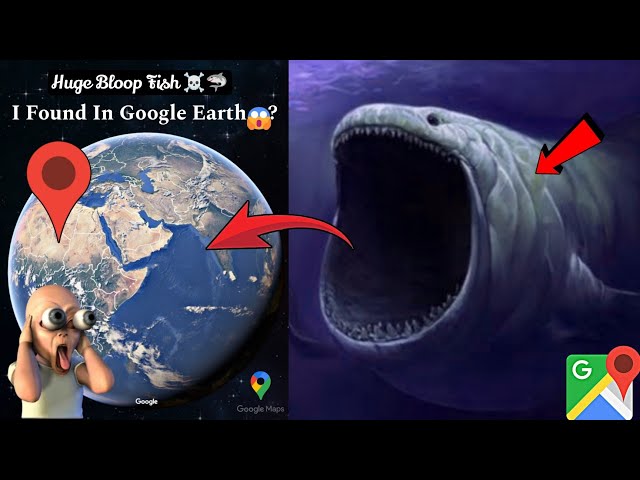 ☠️🦈I Found Scary Bloop Fish In Google Earth? #trending #viralvideo #map #scary #datadefender4u