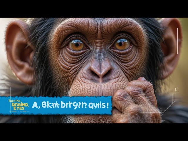 Chimpanzees: Intelligence That Rivals Humans