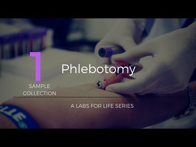 Phlebotomy