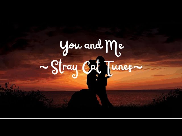 You and Me - Stray Cat Tunes | Original Song