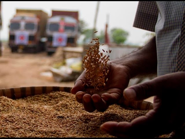 Rice, Blankets and Love -- from India to Syria