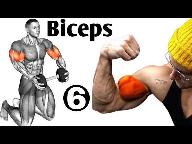 6 Best Bigger Biceps workout at gym