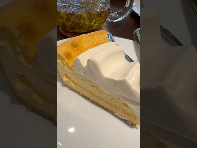 【横浜】最高のチーズケーキ🧀🙏#横浜 #横浜グルメ #カフェ巡り #ハーブス #チーズケーキ #cheesecake #heaves #yokohama