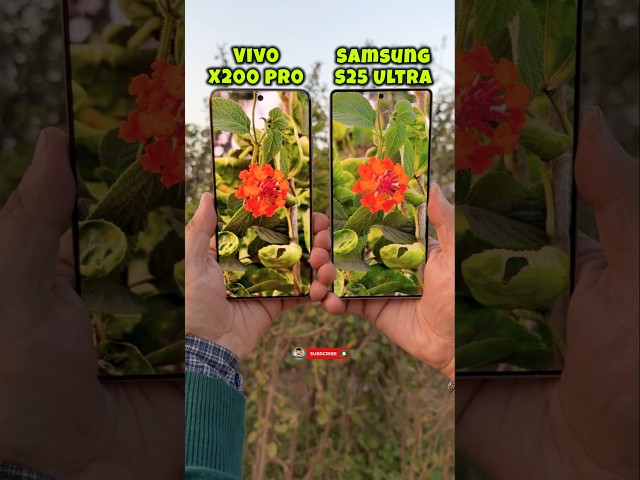 Vivo X200 Pro Vs Samsung Galaxy S25 Ultra Camera Test #vivox200pro #s25ultra #trending #shorts