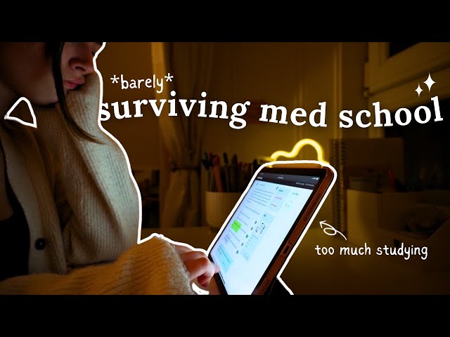 *PRODUCTIVE* days in my life as a medical student // UNI VLOG