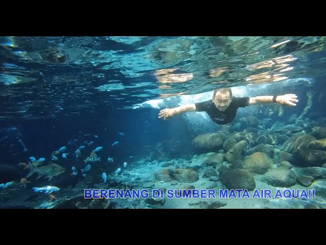 PALING SEGER DAN ADEM‼️BERENANG DI UMBUL SIGEDANG - UMBUL KAPILALER KLATEN (SUMBER MATA AIR AQUA)