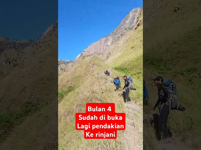 Sembalun via torean mingkin bulan 4 sudah bisa muncak#4u#nature #rinjanimountain