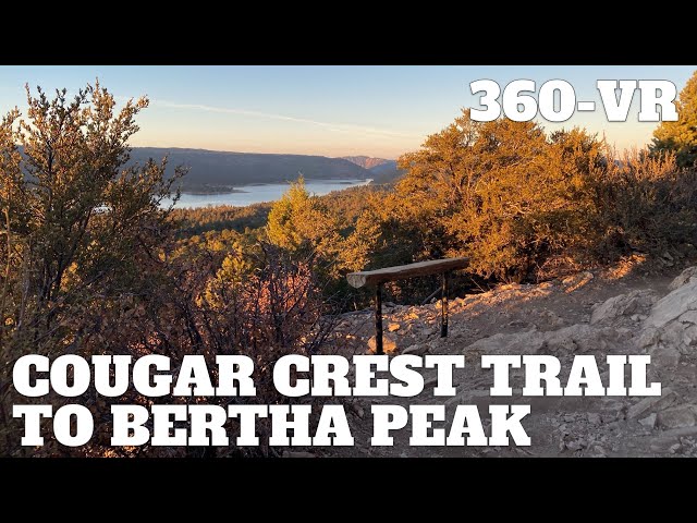 Cougar Crest Trail to Bertha Peak Hike Guide - 360° VR Video