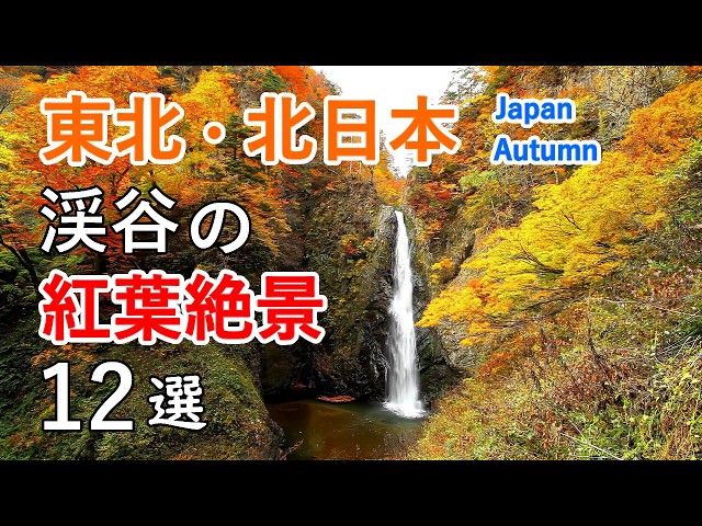 12 Best Views of Autumn Foliage in Valleys of Tohoku region / Beautiful Scenery of Japan [ 4K ]