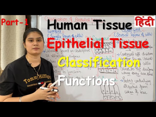 Tissue in Hindi | Epithelial Tissue | Functions | Classification | Part-1