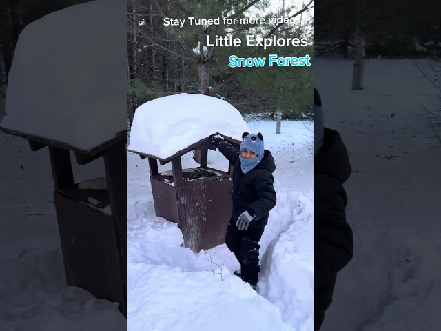 Snow Forest Dancewith Little explores (Detailed Video Coming Soon)#funny #entertainment #snow